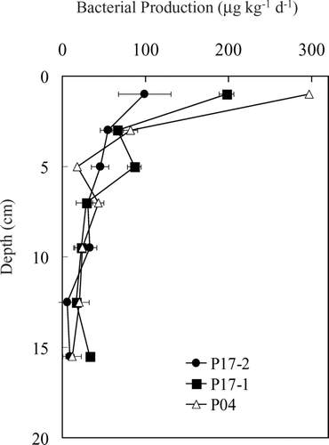 FIGURE 2 Bacterial production (μ g C kg− 1 day− 1) with depth (cm) for cores from stations P17 and P04. Error bars on bacterial production are the standard deviation of triplicate samples.