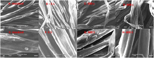 Figure 6. SEM images of denim fabric with different APAGDP exposure times of 5, 300, and 600 s at 8.5 kV and 500 Hz. A to D with a magnification of 500 while E to H with a magnification of 2000.