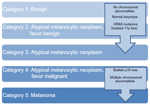 Figure 2 Classification system for pediatric melanocytic neoplasms, from benign to melanoma.