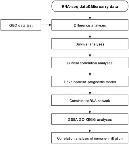 Figure 1. Experimental technical roadmap.