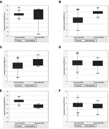 Figure S1 Validation with data available on the expression level of miR-195 and cancer data sets from TCGA database. (A) Non-small cell lung cancer. (B) Renal cell cancer. (C) Pancreatic cancer. (D) Prostate cancer. (E) Colorectal cancer. (F) Clear cell renal cell carcinoma.Abbreviation: TCGA, The Cancer Genome Atlas.