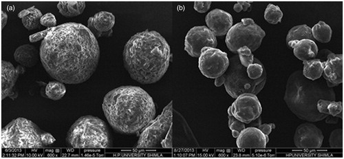 Figure 1. (a) SEM image of CUR-chitosan microspheres, (b) SEM image of Eudragit-coated chitosan microspheres.