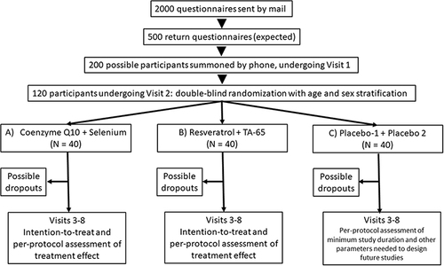 Figure 1 Schematic representation of study design.