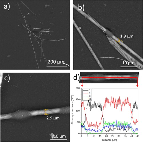 Figure 5. SEM image (BSE 5 kV) of sample GW-B, fibers collected on the filter using Method 2 (airflow rate 2 l/min): (a) collected fibers with random diameter distribution; (b)–(c) two fibers with diameter < 3 µm with dark areas of the organic material; (d) EDXS spectra showing a marked carbon peak and decrease in other elements levels corresponding to the dark spot position. The EDXS data was obtained from the same location as in (c).