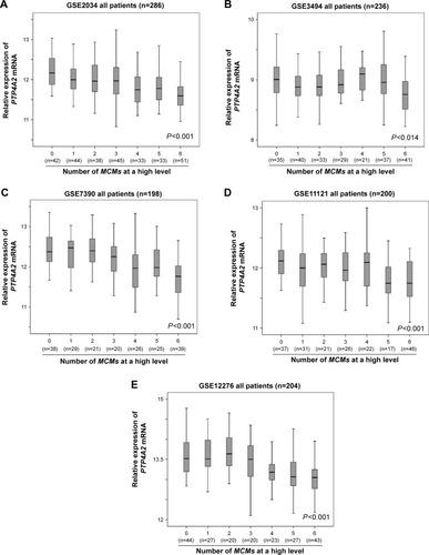 Figure 5 The association between PTP4A2 expression and the number of overexpressed MCM genes.