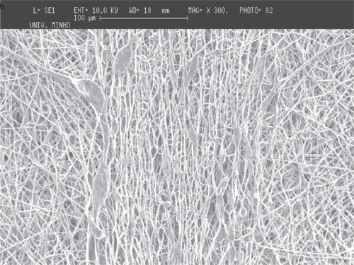 Figure 7 Deposition of PCL fiber meshes in a metallic wire net: a) macroscopic pattern of the fiber mesh, b) region of agglomeration of aligned fibers surrounded by random fibers and c) aligned fibers