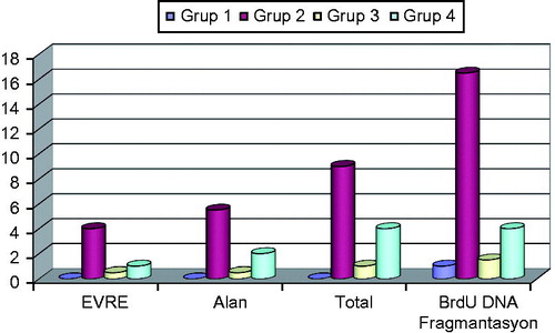 Figure 1. Total histopathological scoring and BrdU DNA fragmentation scores between groups.