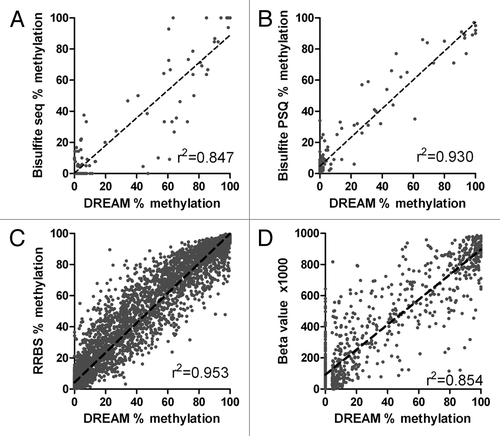 Figure 2. Validation of DREAM results. (A) Bisulfite sequencing vs. DREAM. Methylation at CCCGGG sites. Linear regression r2 = 0.847, p < 0.0001. (B) Bisulfite pyrosequencing vs. DREAM. Linear regression r2 = 0.930, p < 0.0001. (C) Reduced representation bisulfite sequencing, K562 cell line vs. DREAM. Minimum coverage 50+ reads. Linear regression r2 = 0.953, p < 0.0001. Broken lines show linear regression. (D) Methyl 450K Bead Array, K562 cell line vs. DREAM. Minimum coverage 50+ reads. Linear regression r2 = 0.854, p < 0.0001.