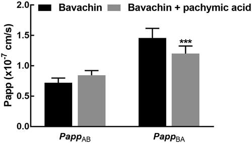 Figure 2. Effect of pachymic acid on the transport of bavachin in Caco-2 model. Pachymic acid significantly inhibited the efflux of bavachin due to the decrease in the value of PappBA. ***p < 0.001.