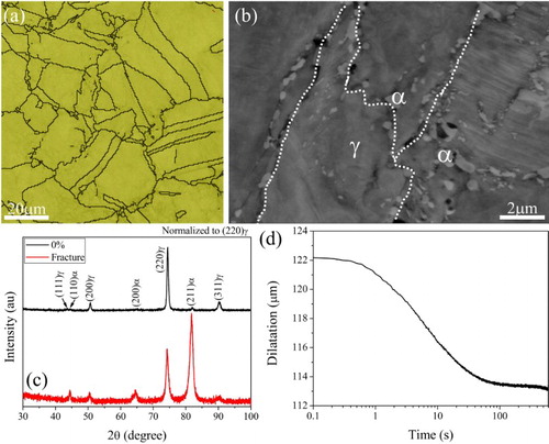 Figure 4. Evolution of microstructure in present steel during thermomechanical processing. (a) EBSD phase image of present steel in the hot rolled state. Red: martensite; yellow: austenite. (b) SEM image of WR + IA sample, showing the distribution of granular ferrite grains either at austenite grain boundaries or within austenite grain interior—α: ferrite; γ: austenite. The dashed lines represent the prior austenite grain boundaries. (c) XRD profiles of WR + IA sample prior to and after tensile test, showing the intensive formation of martensite (∼56%) after fracture. (d) The transformation kinetics of fractured WR + IA sample during isothermal holding at 700°C for 600 s.