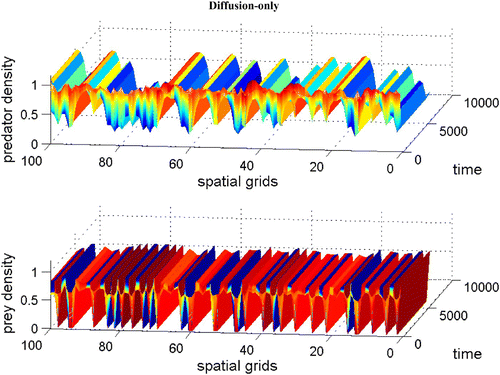 Figure 5. Coexistence steady state is shown to be locally unstable for system Equation(1) and Equation(2) with χ(v)=0.0, f(v)=16(v−0.5)(1−v), h(v, n)=v, and δ (n)=0.6+0.1 n. Spatial grid size is d x=0.25, time step d t=0.01, and γ=14 with 60 time units. The diffusion coefficient ε is 0.01. Here the coexistence steady state is (v s, n s)=(0.695, 0.952). Available in colour online.