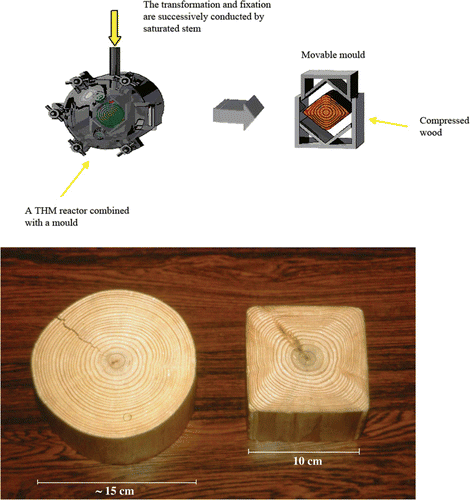Figure 12.  Thermo-hydro-mechanical apparatus and the internal moulding block (left) and transformation of a circular trunk to a square-section block by two-dimensional densification (right) (Ito et al. Citation1998a)