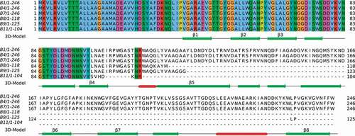 Figure 2. Alignment of CarO amino acids sequences from the six CRAB clinical isolates. The numbers represent the positions of amino acids. CarO protein was intact in the isolates from non-surviving patients (B1, B4, and B7), while it was truncated in those from surviving patients (B8, B9, and B11). The secondary structure obtained from the PDB structure 4fuv.1.A is shown in the 3D-Model track: α-helices in red color, and β-strands in green color. The eight strands from the CarO β-barrel have been tagged (β1-β8)