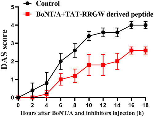 Figure 4. Co-injection of RRGW derived peptide with BoNT/A delayed BoNT/A-induced leg muscle paralysis. DAS score of the leg muscle paralysis progression within 18 h after injection with 0.75 U BoNT/A or co-injection with 0.75 U BoNT/A and 10 μL inhibitors. 25 μM RRGW derived peptide was used. There were five mice in each group, and * indicated there was significant difference between the treatment group and the control at p < 0.05.