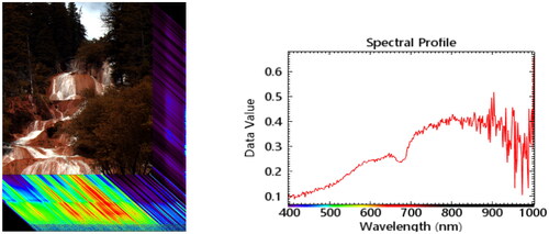 Figure 5. Hyperspectral image data collected by the Micro-hyperspace hyperspectral imaging spectrometer and spectral reflectance curve of a specific point.