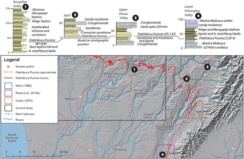 Figure 8. Regional correlation of the Pakihikura Pumice toward the main axial range. Data, including the geochemical data from CJR-4, PS-137 and BP-609 are sourced from Milne (Citation1968), Carter (Citation1972), Shane et al. (Citation1996), Pillans et al. (Citation2005), Rees et al. (Citation2018b) and this study.