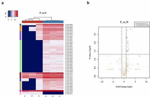 Figure 1. Differentially expressed tRFs in PC patients. (a) Heat map of gene expression data obtained from the cancerous and adjacent normal tissues; it was performed using the genes that between 0.5-0.85 quantile coefficient of variation (CV) based on TPM counts (T vs N). The expression levels above the mean are indicated in red. Blue indicates the expression levels below the mean. The colored bars on the right side of the panel indicate the 10 partitions performed using K-means, while the colored bars on the top panel show the sample groups. (b) Volcano plot for T vs N. Differentially expressed tRF and tiRNAs are indicated in red and green (red represents up-regulated, green represents down-regulated), with absolute fold change values greater than 2 being statistically significant. Non-differentially expressed tRF and tiRNAs are indicated in gray, whether FC or P-values are satisfied.