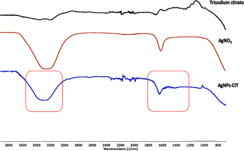 Figure 3 FT-IR spectra of silver nitrate (AgNO3), AgNPs-CIT, and TSC. The black arrows represent the citrate area in TSC and AgNPs-CIT.