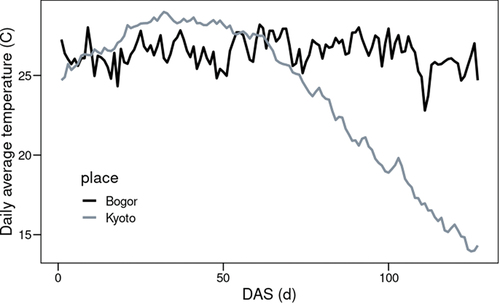 Figure 2. Daily average temperature at the experimental site in 2018 (black line) and at Kyoto (gray line, average value during 1981–2010 from July 1).