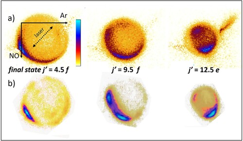 Figure 5. Raw NO-Ar scattering images at ∼ 530 cm-1 collision energy using (a) the tubular VMI lens. In panel (b) images reported by Eyles et al. [Citation24] using a conventional annular ring VMI lens and roughly similar experimental conditions are shown for comparison. The Figure was adopted from Ref [Citation24] with the permission of The Royal Society of Chemistry.