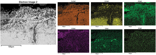 Figure 11. SEM micrographs with EDS maps of NiCrFeSi deposited through laser clad after 1000 h exposure, at higher magnification.