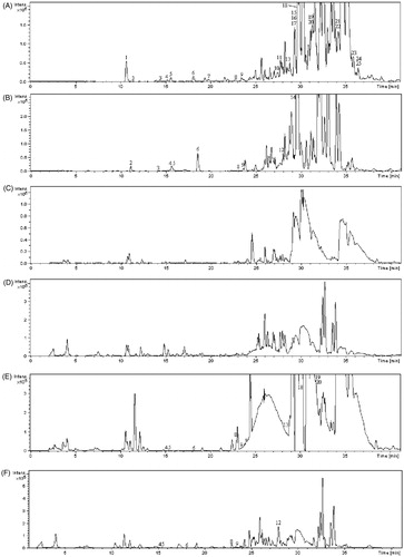 Figure 5. A set of chromatograms of (A) petroleum ether extract of EPR in positive ion mode, (B) petroleum ether extract of EPR in negative ion mode, (C) blank rat serum in positive ion mode, (D) blank rat serum in negative ion mode, (E) 1 h rat serum sample after oral administration of petroleum ether extract of EPR in positive ion mode and (F) 1 h rat serum sample after oral administration of petroleum ether section of EPR in negative ion mode.