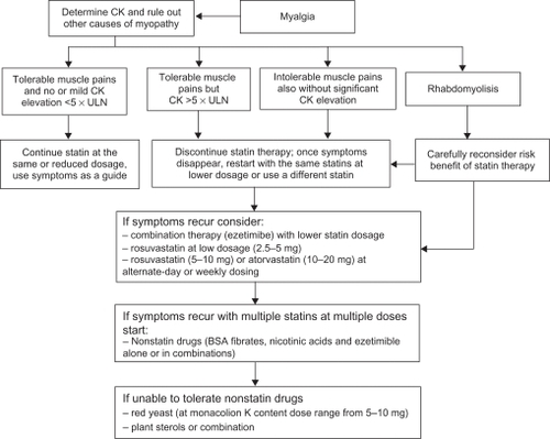 Figure 1 Algorithm for management of statin induced myopathy.