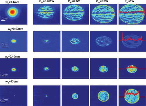 Figure 11. Far-field intensity profiles at the output of the silica aerogel for Pin ranging from 1mW to 1W, and input beam waist w0 ranging from 43μm to 1.4 mm. Images in the second and third rows correspond to the same incident laser power and beam size, but different positions of the incident laser beam.Reprinted with permission from [Citation35]. Copyright 2014 Optical Society of America.