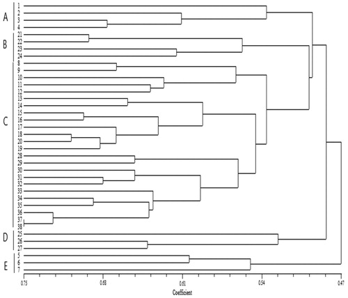 Figure 3. Grouping of cucumber genotypes and lines using the UPGMA method based on Jaccard’s similarity coefficient of 15 ISSR molecular markers. Note: Major clusters are marked on the right side of the dendrogram. The numbers represent cucumber genotypes listed in Table 1.