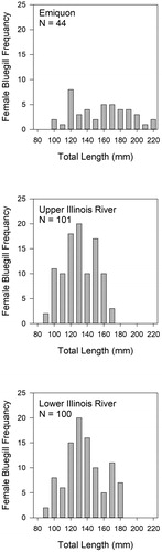 Figure 3. Length–frequency histogram constructed with length interval widths of 10 mm for female bluegill collected in each sample location (i.e. Emiquon, upper Illinois River, lower Illinois River).