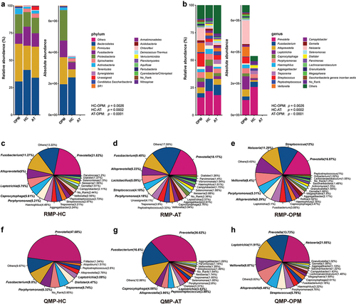 Figure 1. The relative and absolute composition of OPM, HC, and AT in barplot and pie plot. (A) phylum level in barplot. (B) genus level in barplot. The amount of ASVs in these three groups presents a significant difference under Kruskal-Wallis test (HC-AT: p = 0.0002; HC-OPM: p = 0.0026; AT-OPM: p < 0.0001). Pie plot depicted the different proportions of genera in RMP (C-E) and QMP (F-H).