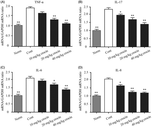 Figure 5. The effect of crocin on the gene expression of pro-inflammatory cytokines. mRNA expression was measured by quantitative RT-PCR in the ankle tissue in CIA rats. (A) TNF-α content; (B) IL-17 content; (C) IL-6 content; (D) CXCL8 content. Statistical analysis was performed using one-way ANOVA followed by the Tukey–Kramer post-test. Norm: normal rats; Cont: control CIA rats. Data are presented as the mean ± SE (n = 15). *p < 0.05, **p < 0.01, compared with the Cont.