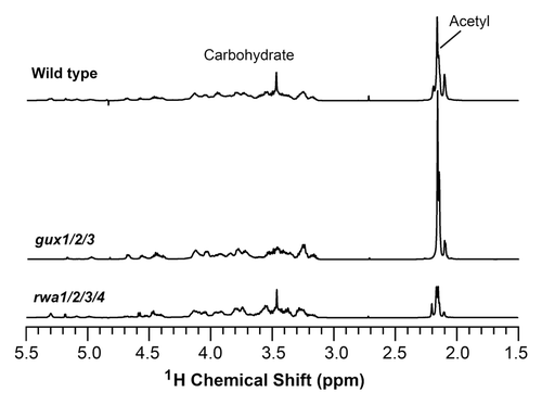 Figure 1.1H nuclear magnetic resonance (NMR) spectra of acetylated xylans isolated from the wild type, gux1/2/3, and rwa1/2/3/4. Acetylated xylan was extracted with DMSOCitation6 and digested with β-endoxylanase M6 (Megazyme) to generate xylooligosaccharides, which were subsequently subject to structural analysis using NMR spectroscopy.Citation23 The resonance regions for acetyl groups and carbohydrate are marked.