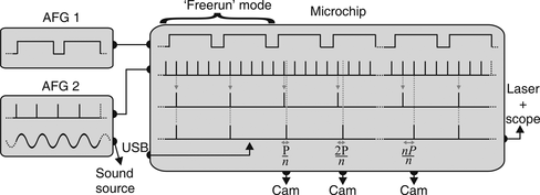 Figure 3 Close-up of the trigger sequence inside the microchip. The details are discussed in section 2.2.2.