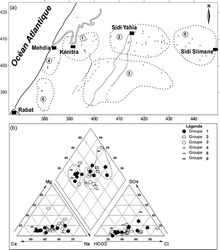 Fig. 5 (a) Identification des faciès hydrochimiques de la bordure méridionale du Rharb (secteur de la Mamora); (b) Groupes 1–6 selon leur localisation géographique: 1. Kénitra; 2. Sidi Yahia; 3. Centre de la Mamora; 4. Mehdia; 5. Sidi-Slimane; et 6. Rabat.