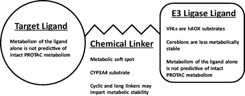 Figure 3. The building blocks of PROTAC drug molecules and conclusions on their metabolism from Goracci et al. Citation2020.