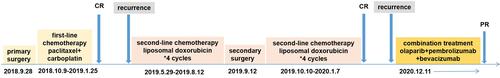 Figure 1 Treatment timeline.