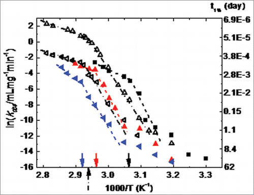 Figure 7. Observed aggregation rates (kobs) as a function of temperature for Fc1, 1 mg/ml at pH 4.0 (filled squares), pH 5.0 (filled upward triangles), and pH 6.0 (filled left-side triangles) on the left-hand axis; the right-hand axis is labeled with the number of days for the monomer loss of 1%, which is calculated from kobs labeled on the left-hand axis by the equation, t1% = 0.01/kobs. Two regimes are observed to exhibit Arrhenius behavior with clear breakpoints around unfolding temperature of CH2 domain, which are marked with solid arrows (53 °C for pH 4.0, 65°C for pH 5.0, and 70°C for pH 6.0). At lower temperatures, there is divergence upward from the first Arrhenius regime. The short dash lines are only guides to the eyes. The similar data set for the mAb1 (open left-side triangles) and mAb2 (open upward triangles) are extracted from Figure 7 of Drenski et al.Citation55 and re-plotted here for comparison (breakpoints around 67°C, marked by the short dash-dot arrow). The short dash-dot lines are also only guides to the eyes.