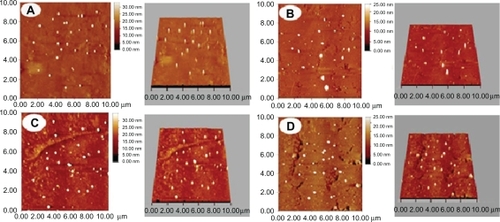 Figure 3 Morphology of nanospheres detected by AFM. A, B, C, and D denote PLA-n, PELA10-n, PELA20-n, PELA30-n, respectively. Samples were prepared for AFM investigation.