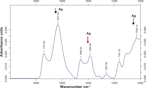 Figure 4 Typical FTIR adsorption spectra of silver nanoparticles synthesized by M. edule leaf extract after bioreduction of silver ions.Abbreviation: FTIR, Fourier transform infra-red spectroscopy.