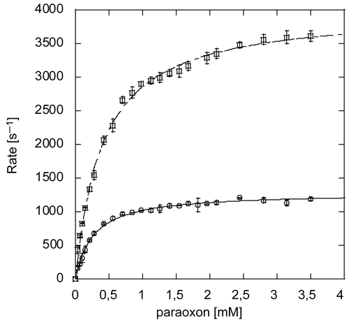 Figure 4.  Michaelis-Menten Plot of paraoxon hydrolysis by Zn-PTE and Co-PTE. Initial reaction rate plotted against substrate concentration for paraoxon hydrolysis by PTE purified with Zn2+(○) and Co2+(□).