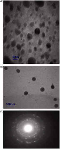 Figure 1. Transmission electron micrographs of (A): 5-FU-loaded PLGA nanoparticles with iron oxide cores with magnification ×167 000, (B): PLGA nanoparticles without iron oxide core with magnification ×60 000, (C) SAED image associated with the sample from figure (A).