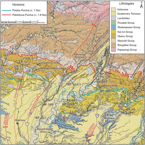 Figure 2. Geological map of the study area showing lithological groups, regional structures and the location of the Potaka Pumice and Pakihikura Pumice; two widespread regional marker horizons used to define the base of the Kai Iwi and Okehu Groups respectively. Sample points are shown from Pillans et al. (Citation2005) and this study, state highways are shown in grey. This work draws from the geological maps of Feldmeyer et al. (Citation1943), Te Punga (Citation1952), Fleming (Citation1953), Milne (Citation1973b), Naish and Kamp (Citation1995), van der Neut (Citation1996), Townsend et al. (Citation2008), Lee et al. (Citation2011).