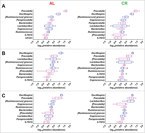 Figure 3. Top 10 genera within the young rats gut microbiota fed ad libitum (AL, left) and with caloric restriction (CR, right). Genera are ordered by decreasing median of the relative abundance among subjects at 1 week before treatment (A), 3 weeks (B), and 8 weeks of treatment (C). Boxes are colored based on the phylum membership (blue, Firmicutes; purple, Bacteroidetes). Asterisks indicate significant difference (P < 0.05) between AL and CR rats at same time of treatment, with the asterisk corresponding to the group in which a given genus was more abundant.