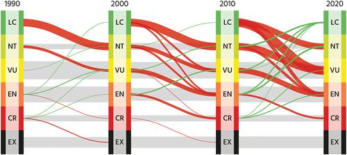 Figure 2. Genuine changes in the national IUCN Red List categories of Australian bird ultrataxa between decades (1990 to 2020). Line width represents the number of taxa moving between categories (e.g. LC [2010] to NT [2020], n = 16). Red lines represent deteriorations in status, green improvements, and grey no change. The number of taxa remaining LC between time periods is excluded: 1990 to 2000 (n = 1,119); 2000 to 2010 (n = 1,091); 2010 to 2020 (n = 1,044). LC = Least Concern, NT = Near Threatened, VU = Vulnerable, EN = Endangered, CR = Critically Endangered, EX = Extinct.