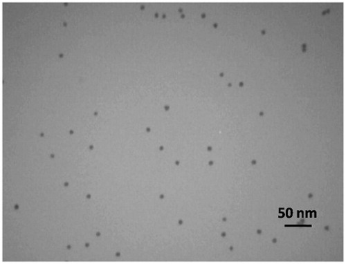 Figure 3. TEM micrograph of synthesized AuNPs.