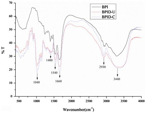 Fig. 1. FTIR spectra of BPI and BPI–dextran conjugates. BPID-C: BPI–dextran conjugates obtained at 70 °C for 40 h.
