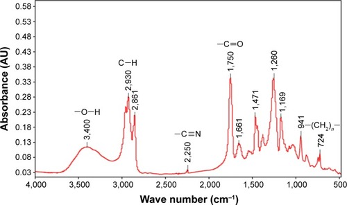 Figure 3 Fourier transform infrared spectrum of the electrospun NOCA medical glue membrane.Abbreviation: NOCA, N-octyl-2-cyanoacrylate.