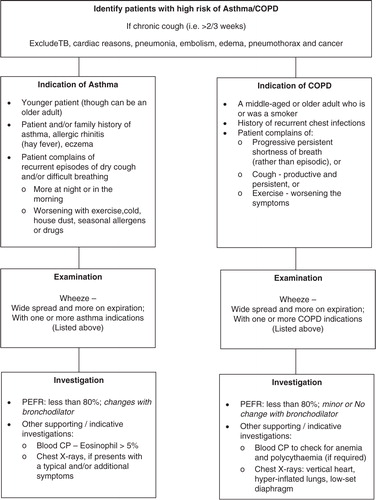 Fig. 2 Diagnosis of asthma and chronic obstructive pulmonary disease (COPD). PEFR, peak expiratory flow rate; TB, tuberculosis.