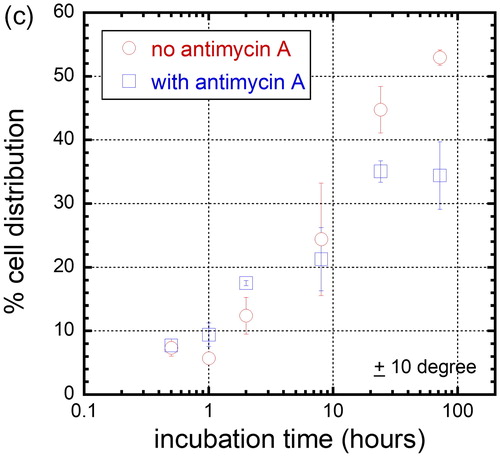 Figure 8(c). Percent distribution of cell that is oriented within 10 degree of 10 μm comb structure line axes when incubated in media with no antimycin A and with antimycin A.